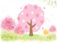 2017041301.jpg